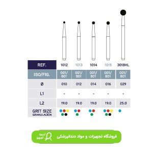 فرز801 میکرودونت